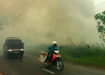 indonesia,-paura-per-gli-incendi:-el-nino-potrebbe-aggravare-la-situazione
