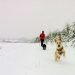 grandi-nevicate-nei-balcani,-gran-gelo-nel-sud-russia-e-ucraina,-grandi-piogge-in-norvegia