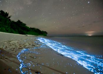 onde-blu-sul-mare-di-notte,-e-la-bioluminescenza:-foto-spettacolo