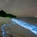 onde-blu-sul-mare-di-notte,-e-la-bioluminescenza:-foto-spettacolo