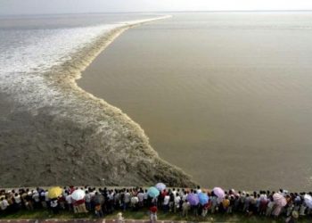 ciclopiche-onde-di-mare-sul-fiume-qiantang,-fenomeno-che-si-ripete:-video