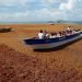 caraibi,-massiccia-invasione-di-alghe-mette-in-fuga-i-turisti:-video