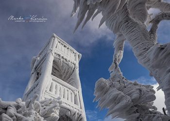 foresta-trasformata-in-sculture-di-ghiaccio:-foto-da-brivido-dalla-slovenia
