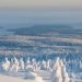 finlandia,-inverno-duro-a-morire,-gelo-e-neve-al-nord,-pioggia-e-freddo-al-sud