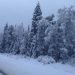 russia:-prima-neve-negli-urali-e-a-ekaterinburg