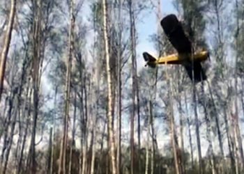 aereo-finisce-sospeso-sugli-alberi,-pilota-illeso:-e-successo-in-alaska