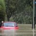nuova-zelanda,-piogge-torrenziali:-e-l’alluvione-del-secolo