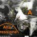 il-meteosat-ci-mostra-la-bassa-pressione-a-ridosso-del-sud-italia