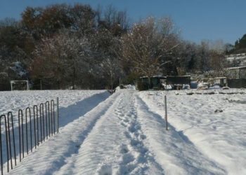 18-19-dicembre-2009:-un’altra-famosa-nevicata-in-toscana