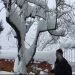 super-neve-e-paesi-montani-sepolti:-17-dicembre-2007-in-sardegna