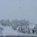 la-nevicata-record-del-17-dicembre-2007-in-sardegna:-le-immagini-piu-belle
