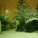 neve-nella-notte-su-trieste