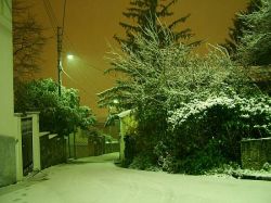 neve-nella-notte-su-trieste