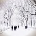 il-corridoio-della-neve-colpisce-ancora:-20-cm-di-neve-a-new-york