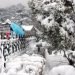 forti-nevicate-in-india,-tibet-e-giappone.-40-gradi-sotto-zero-in-cina