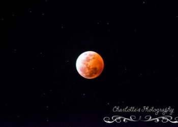 lo-spettacolo-dell’eclissi-lunare-totale-dall’australia