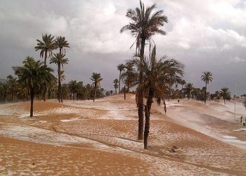 algeria:-a-bechar-e-tindouf-in-poche-ore-piu-della-pioggia-di-un-anno!