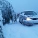 torna-l’inverno-in-siberia,-fino-a-40-centimetri-di-neve