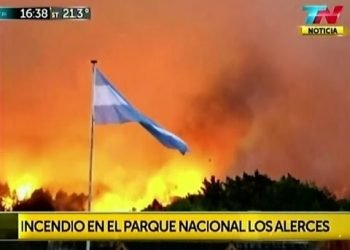 enorme-incendio-brucia-i-boschi-della-patagonia,-le-immagini-del-disastro