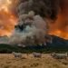 “giganti”-in-fiamme-a-los-alerces,-inferno-in-patagonia