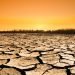 desertificazione-che-avanza:-allarme-anche-per-l’italia,-le-zone-a-rischio