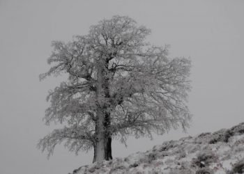 sardegna-freddo:-neve-sul-gennargentu-prossime-ore-nevicate-sotto-i-1000-metri.-maestrale