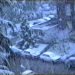 neve-del-17-aprile-1991-a-milano,-una-delle-nevicate-piu-tardive-di-sempre