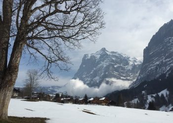 alpi-svizzere:-colossale-valanga-si-blocca-all’ingresso-del-centro-abitato