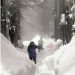 solo-20-giorni-all’inverno:-l’emisfero-boreale-si-raffredda-in-vista-della-nuova-stagione