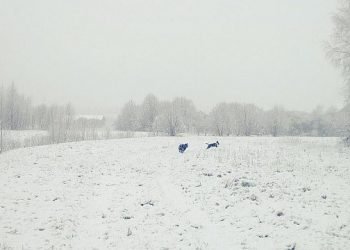 l’altra-“piccola”-europa:-neve-d’aprile-in-estonia-e-bielorussia