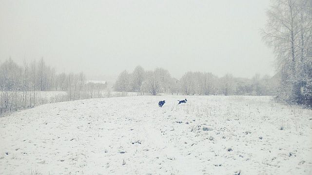 l’altra-“piccola”-europa:-neve-d’aprile-in-estonia-e-bielorussia