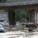 alluvione-a-tbilisi:-12-vittime,-animali-feroci-in-fuga-dalla-zoo