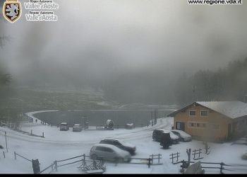 neve-copiosa-sulle-alpi:-fiocchi-imbiancano-fin-sotto-i-1500-metri