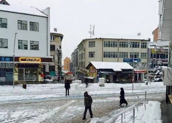 gelo-e-nevicate-tardive-in-turchia