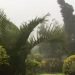 ciclone-haliba-sulla-reunion,-quasi-500-mm-di-pioggia-a-saint-denis!-video