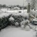 gelo-siberiano-dell’indimenticabile-febbraio-2012:-le-nevicate-da-record
