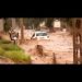 la-disastrosa-alluvione-di-copiapo…-strade-come-fiumi