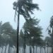 tifone-mujigae-in-cina,-almeno-8-le-vittime