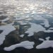 ghiacci-polari-artici-mai-cosi-in-crisi,-e-record-invernale-negativo