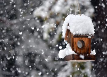 meteo-italia,-arriva-neve-fin-sotto-i-1000-metri:-gli-ultimi-aggiornamenti