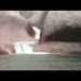 spettacolo-in-australia…-“cascate-d’acqua”-dalle-rocce-dell’uluru