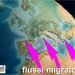 italia,-prossimi-decenni-sempre-piu-esposta-ai-flussi-migratori-per-effetto-dei-cambiamenti-climatici