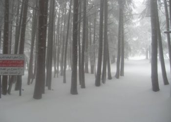 clima-pazzo!-tormente-di-neve-a-500/700-metri-in-algeria-e-nord-marocco