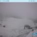 alpi-occidentali:-fitte-nevicate-oltre-1400-metri