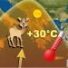 caldo-eccezionale-nel-sud-della-grecia,-raggiunti-i-primi-+30°c-del-2016-sul-suolo-europeo