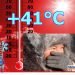 siberia,-meteo-estremo:-caldo-mai-visto-dove-d’inverno-si-va-a-60°c-misurati-41°c