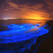 alghe-bioluminescenti:-spettacolo-incredibile-ma-preoccupante.-ecco-perche