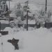 dal-mar-nero-al-mar-artico,-grandi-nevicate-nella-russia-europea!-foto-e-video