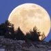arriva-la-“super-luna”:-sara-la-piu-grande-degli-ultimi-70-anni