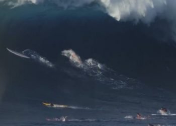 onda-gigantesca-come-un-palazzo-di-5-piani:-ecco-come-si-salvano-i-surfisti